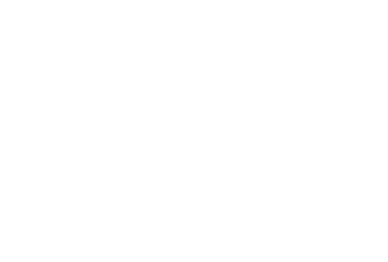 Frame 2147241047